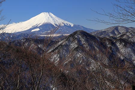 展望園地からの富士