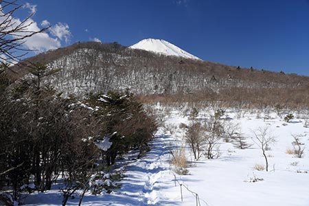 アザミ平と富士山