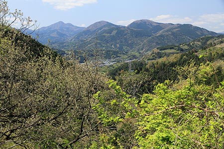 金時山・矢倉岳方面の眺め