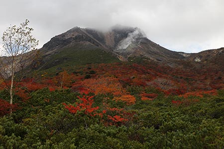 茶臼岳と紅葉