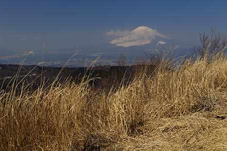 富士山