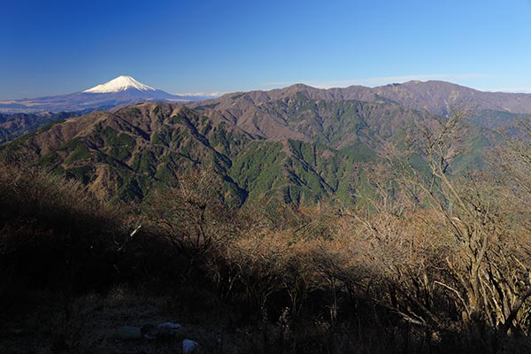 東丹沢の山並みと富士山