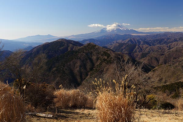 鍋割山からの富士