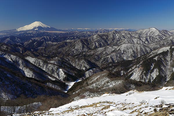 塔ノ岳からの富士