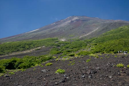 富士山