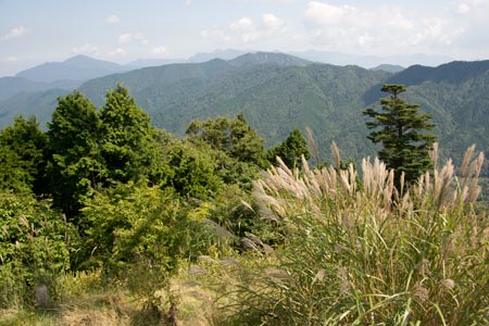 道志の山から丹沢山塊を望む