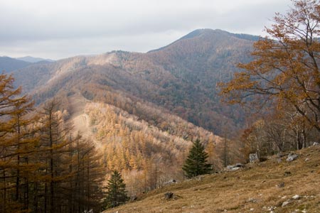 七ツ石山から雲取山の眺め