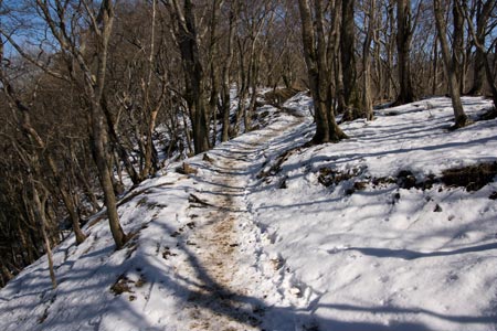 鍋割山稜の登山道