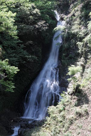 大沢の滝