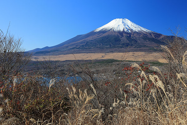 長池山から見た富士山