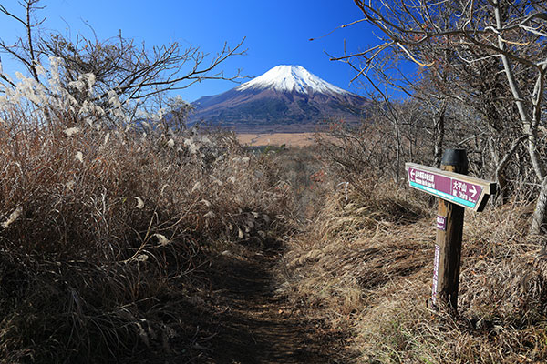 飯盛山から見た富士山