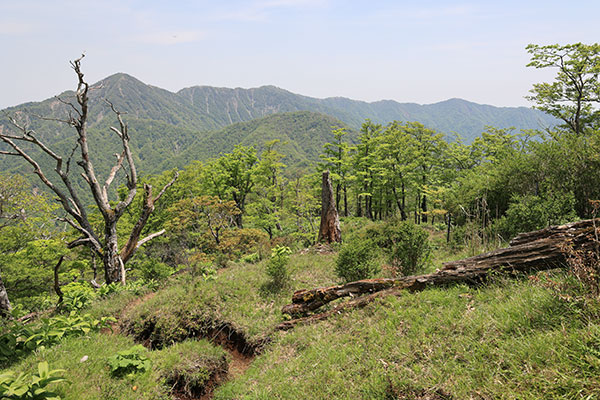 蛭ヶ岳～塔ノ岳