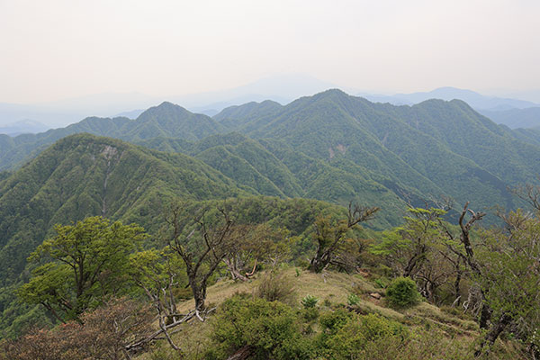 西丹沢の山並み