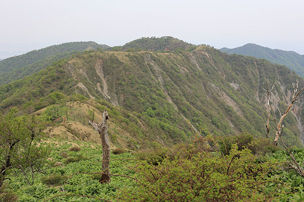 蛭ヶ岳から塔ノ岳への稜線