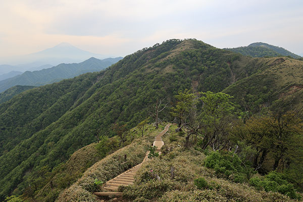 不動ノ峰、蛭ヶ岳と富士山