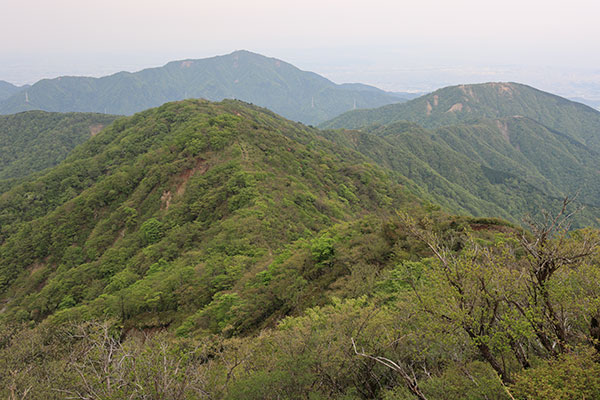 表尾根と大山