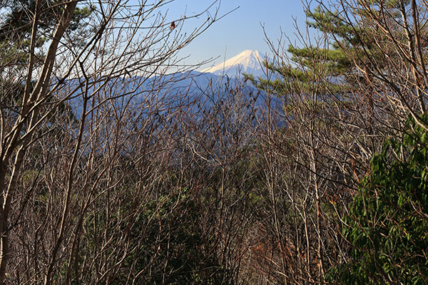 生藤山からの富士