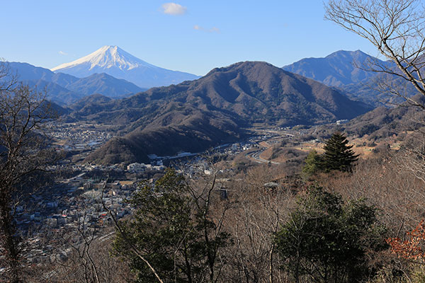 岩殿山からの富士
