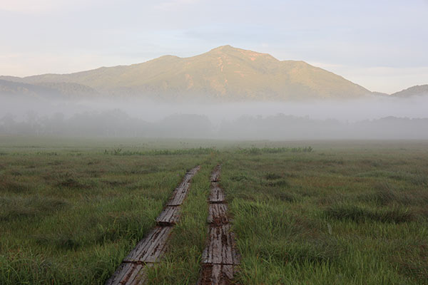 朝靄の至仏山