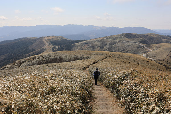 達磨山から南側の眺め