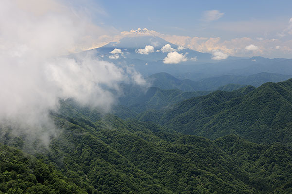 富士山