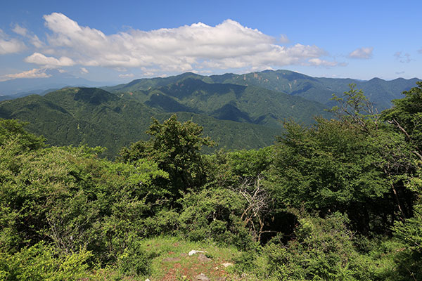 東丹沢の山並み