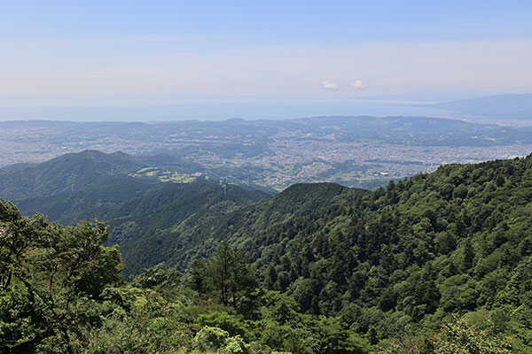 相模湾の眺め