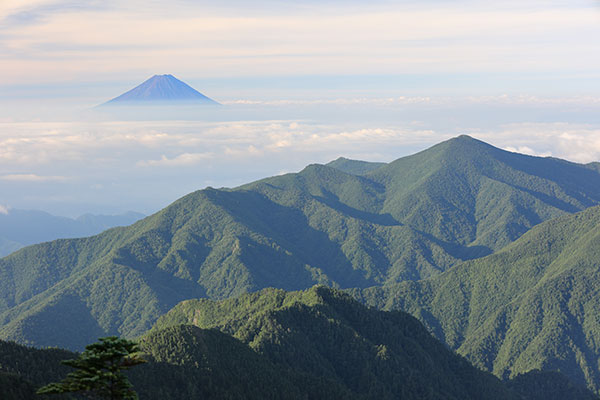 黒金山と富士山