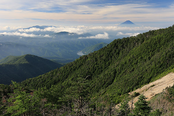 富士山