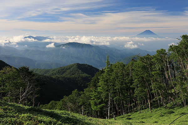 富士山