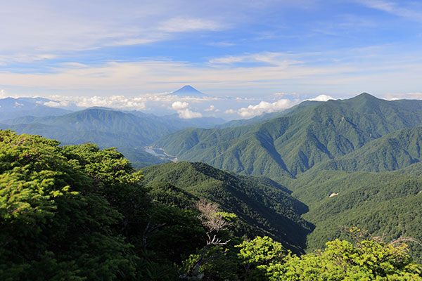 富士山