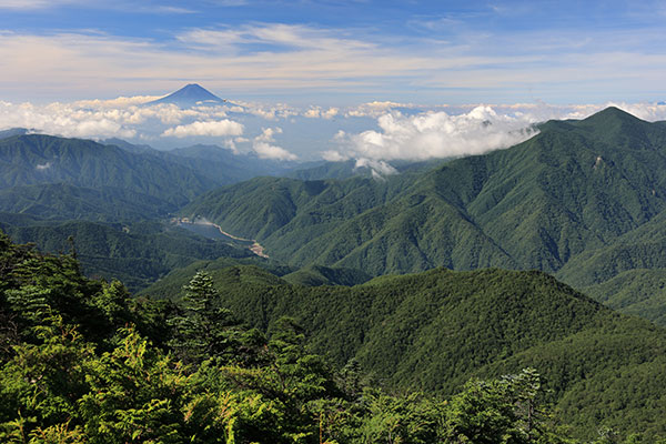 富士山