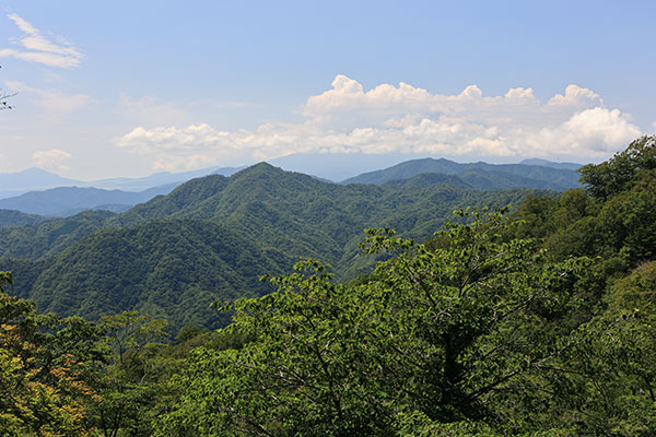 畦ヶ丸、菰釣山などの山並み