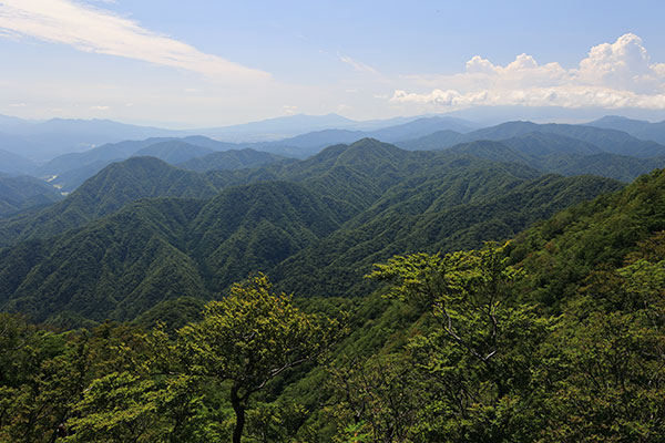 権現山、畦ヶ丸、菰釣山などの山並み