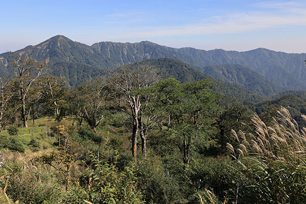 蛭ヶ岳～塔ノ岳