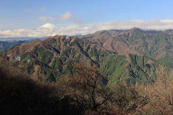 丹沢表尾根と富士山