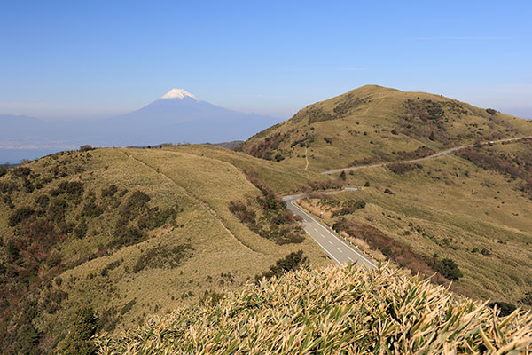 達磨山と富士山