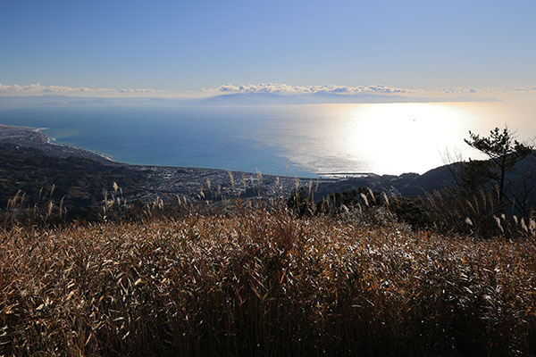 輝く駿河湾の向こうに伊豆半島