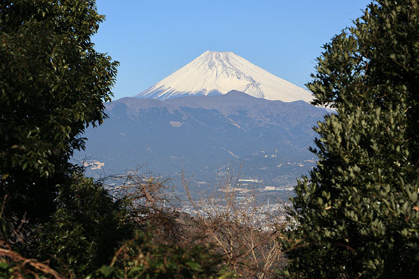 徳倉山かの富士