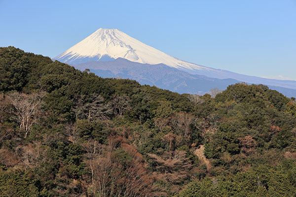 富士山