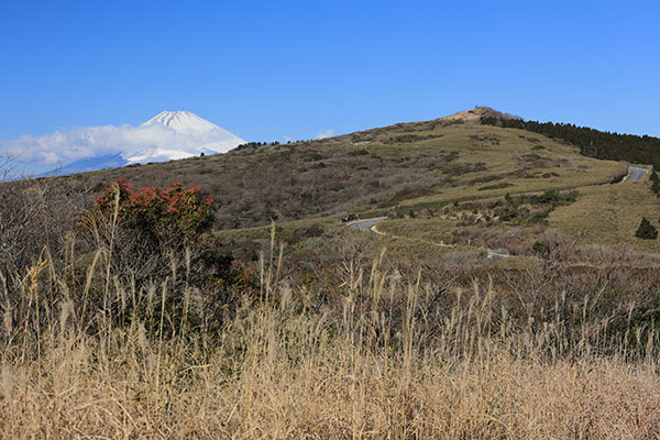 富士山