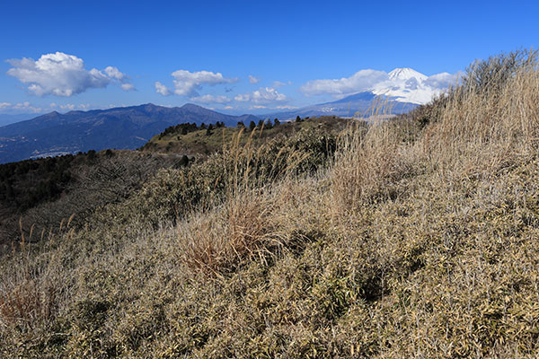 富士山と愛鷹山