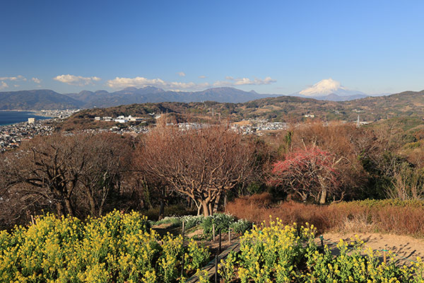 富士と箱根の山並み