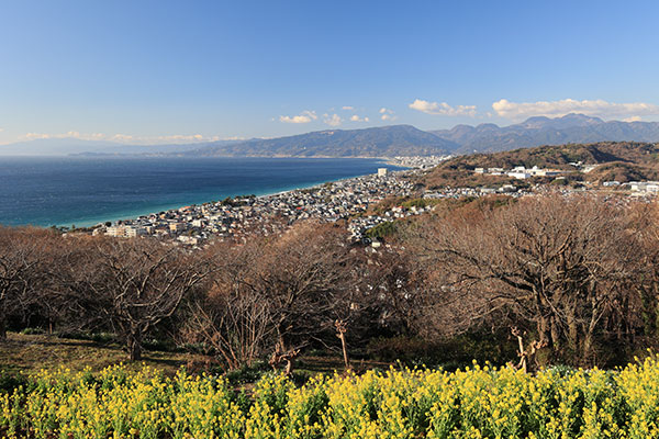 海岸線の眺め