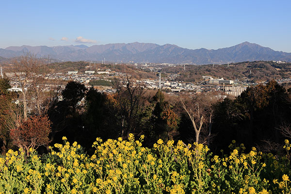 丹沢山塊