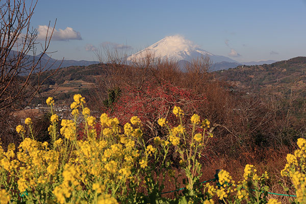 富士山