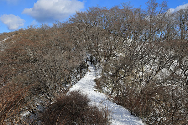 花立から先の登山道