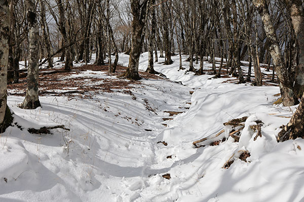 雪の登山道