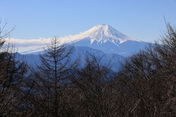 扇山からの富士