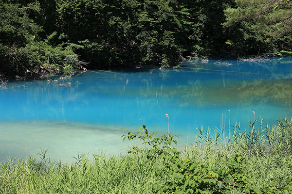 青沼